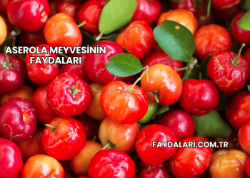 Aserola Meyvesinin Faydaları