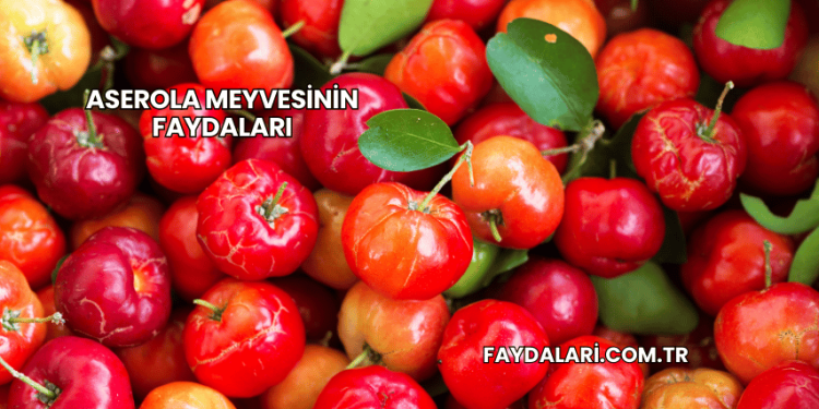 Aserola Meyvesinin Faydaları