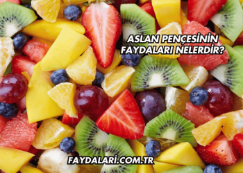 Aslan Pençesinin Faydaları Nelerdir?