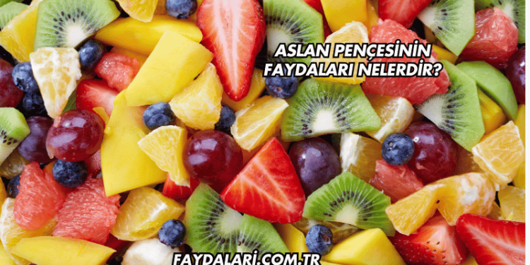 Aslan Pençesinin Faydaları Nelerdir?