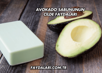 Avokado Sabununun Cilde Faydaları