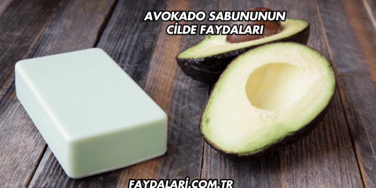 Avokado Sabununun Cilde Faydaları