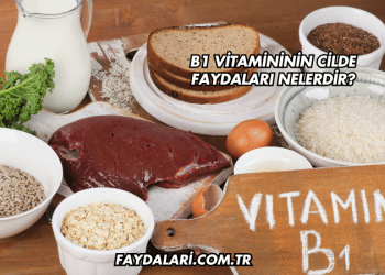 B1 Vitamininin Cilde Faydaları Nelerdir?