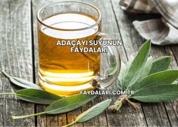 Adaçayı Suyunun Faydaları