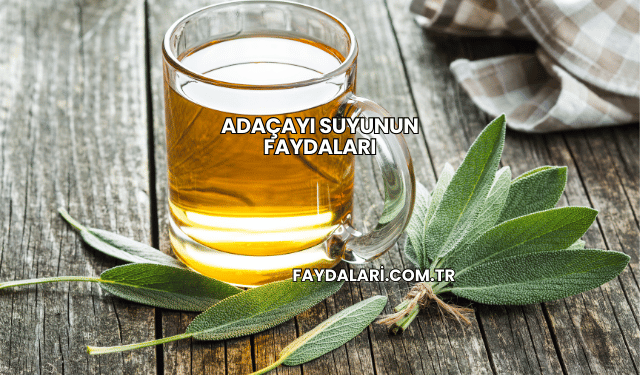 Adaçayı Suyunun Faydaları