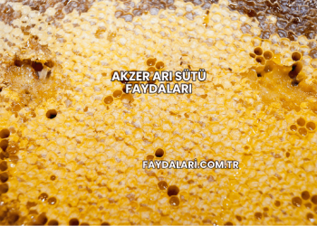 Akzer Arı Sütü Faydaları