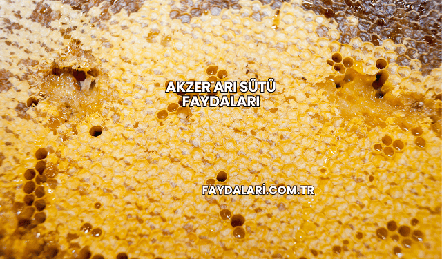 Akzer Arı Sütü Faydaları