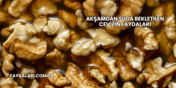 Akşamdan Suda Bekletilen Cevizin Faydaları