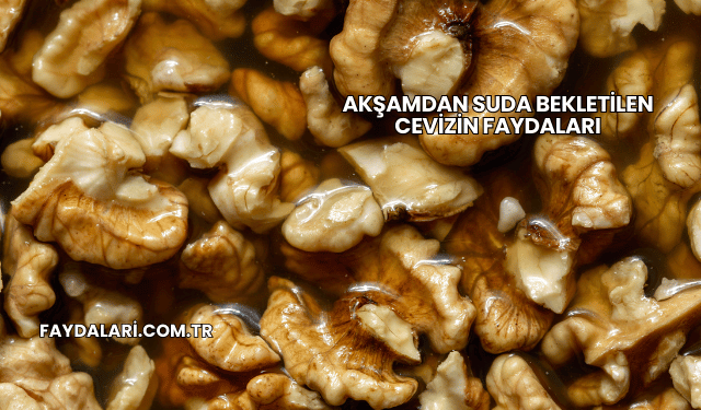 Akşamdan Suda Bekletilen Cevizin Faydaları