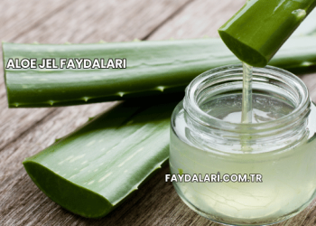 Aloe Jel Faydaları
