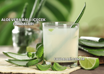Aloe Vera Ballı İçecek Faydaları