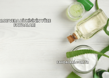 Aloe Vera Bitkisinin Yüze Faydaları