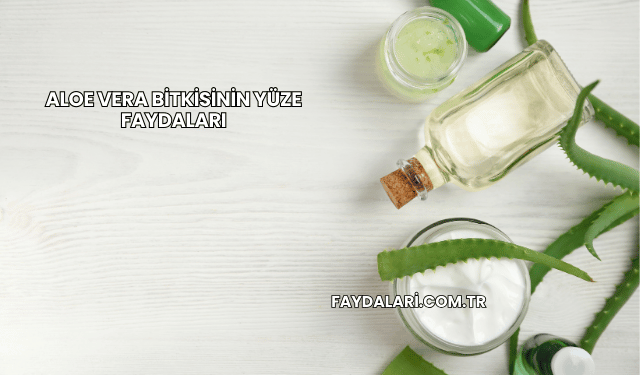 Aloe Vera Bitkisinin Yüze Faydaları