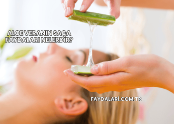 Aloe Veranın Saça Faydaları Nelerdir?