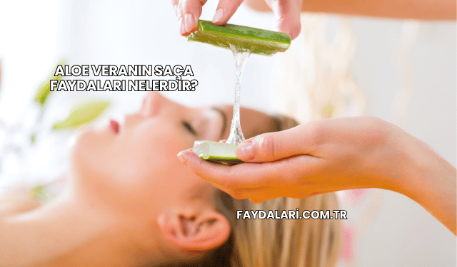 Aloe Veranın Saça Faydaları Nelerdir?