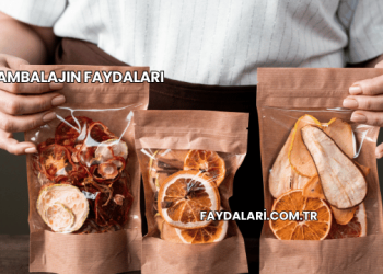 Ambalajın Faydaları