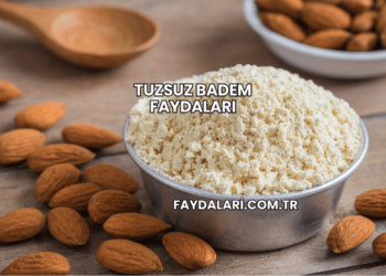 Tuzsuz Badem Faydaları