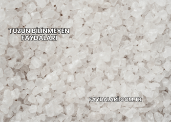 Tuzun Bilinmeyen Faydaları