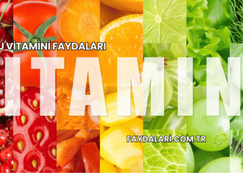 U Vitamini Faydaları