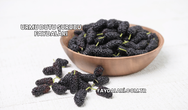 Urmu Dutu Şurubu Faydaları