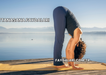 Uttanasana Faydaları