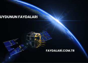Uydunun Faydaları
