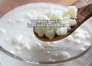 Yatarken Kefir İçmenin Faydaları