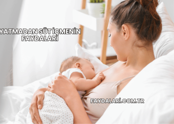 Yatmadan Süt İçmenin Faydaları