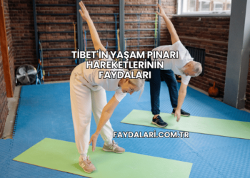 Tibet'in Yaşam Pınarı Hareketlerinin Faydaları
