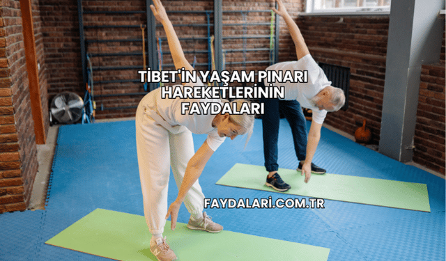 Tibet'in Yaşam Pınarı Hareketlerinin Faydaları