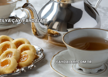 Tilya Çayı Faydaları