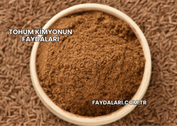 Tohum Kimyonun Faydaları