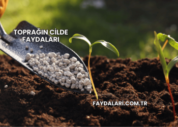 Toprağın Cilde Faydaları