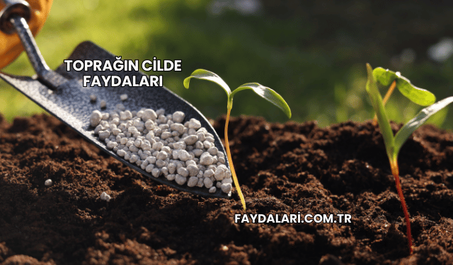 Toprağın Cilde Faydaları