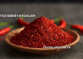 Toz Biber Faydaları