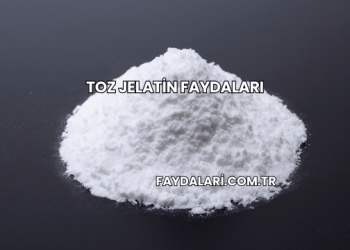 Toz Jelatin Faydaları