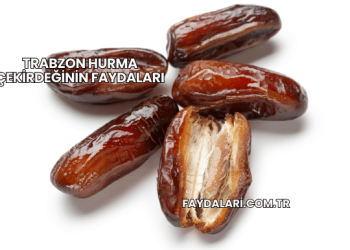 Trabzon Hurma Çekirdeğinin Faydaları