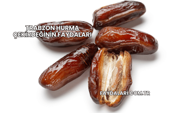 Trabzon Hurma Çekirdeğinin Faydaları
