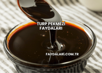 Turp Pekmezi Faydaları