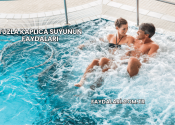 Tuzla Kaplıca Suyunun Faydaları