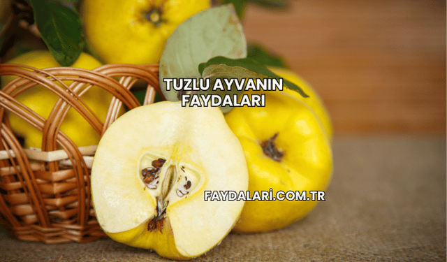 Tuzlu Ayvanın Faydaları