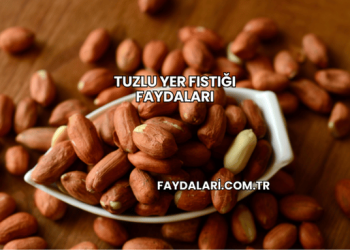 Tuzlu Yer Fıstığı Faydaları