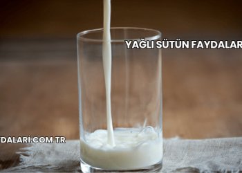 Yağlı Sütün Faydaları