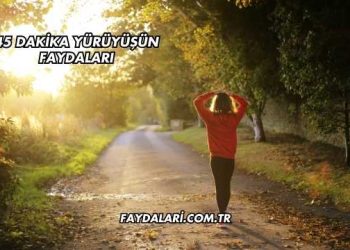 45 Dakika Yürüyüşün Faydaları