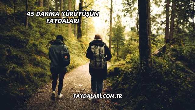 45 Dakika Yürüyüşün Faydaları