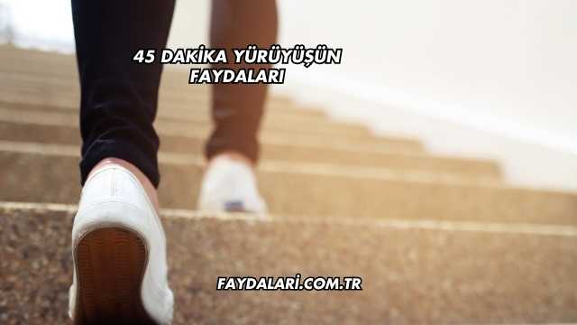 45 Dakika Yürüyüşün Faydaları