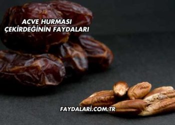 Acve Hurması Çekirdeğinin Faydaları