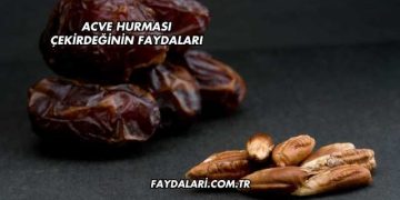 Acve Hurması Çekirdeğinin Faydaları