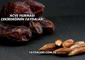 Acve Hurması Çekirdeğinin Faydaları