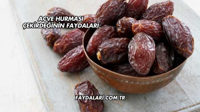 Acve Hurması Çekirdeğinin Faydaları